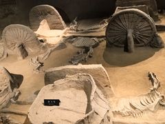 -洛阳周王城天子驾六博物馆