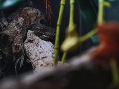 -中国湿地博物馆