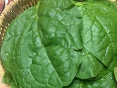 -巴奴毛肚火锅(龙湖锦艺城店)