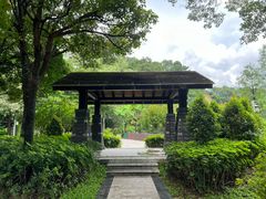 -王借岗森林公园