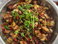 -食神又名厕所兔
