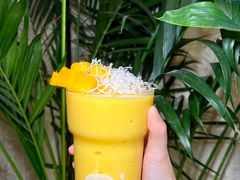 -O'eat Blossom&Pelican(深圳首店)