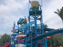 -杭州浪浪浪水公园