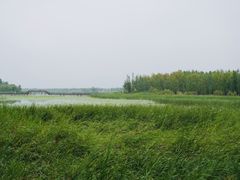 -野鸭湖国家湿地公园