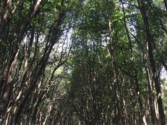 -艾溪湖湿地公园