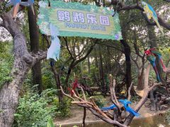 -广州长隆飞鸟乐园