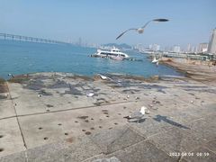 -星海广场