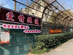 -杭州半山国家森林公园