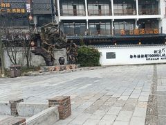 -印象鲵宴·张家界地标美食名片(溪布街店)