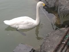 -上海怡沁园度假酒店