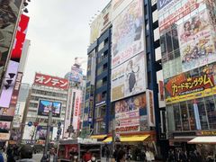 -秋叶原电器街