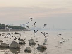 -深圳湾公园(南山区)