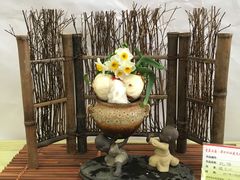 -龙大花卉苗木市场