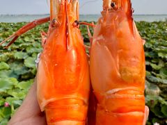 -七的湖·晚芳亭·阳澄湖农家菜·大闸蟹(莲花岛店)