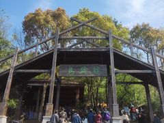 -天目湖山水园