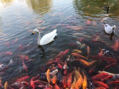 -常州花鸟园酒店(西太湖品牌优选店)