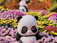 -南山植物园