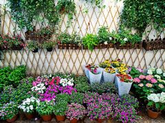 -双季花艺园艺市场(浦东店)