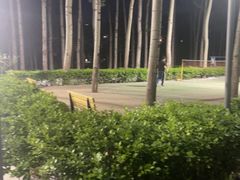 -仁和公园(顺义区)