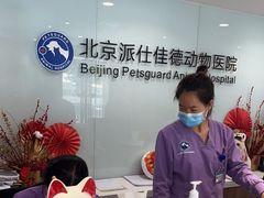 -北京派仕佳德动物医院·超导核磁·CT·神经科·骨科·内外科·急重症管理中心