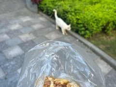 王家沙鲜肉月饼-王家沙点心店(南京西路总店)