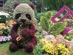 -杭州植物园