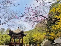 -佛慧山