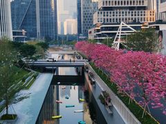 -深圳湾万象城(南山店)