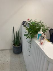 -苗方清颜·祛痘皮肤管理