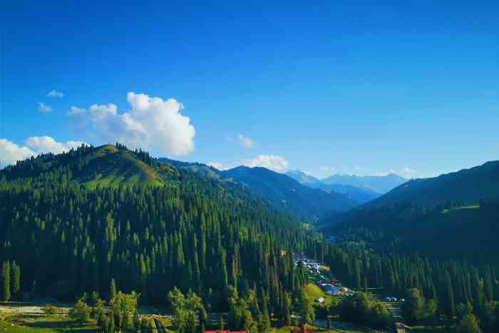 恰西塔里木国家森林公园-"#夏日旅行# 偶然得见的恰西90本来打.