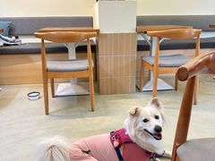 -小意思咖啡店(草桥店)