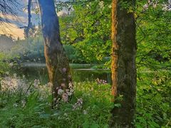 -大兴滨河森林公园