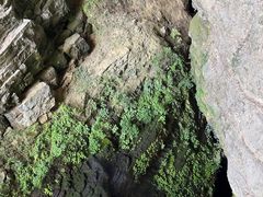 -龙水峡地缝景区