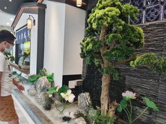 -大榕树下顺德菜(融创茂店)