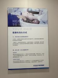 -碧莲盛不剃发植发