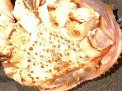 -綱元·海鲜豆捞(明州里店)