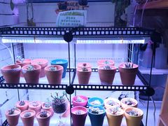 -向日葵十五度餐厅(昌平区店)