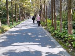 -昆山城市生态森林公园