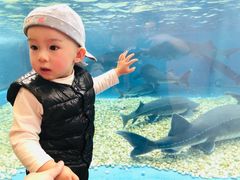 -成都浩海立方海洋公园