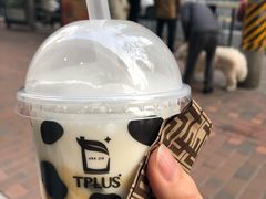 -TPLUS茶家(淮海店)
