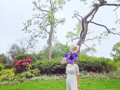 -晓港公园