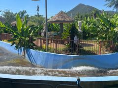 -苏州乐园森林水世界