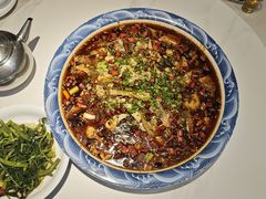 -新概念来凤鱼(璧山店)