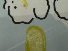 -安安宠医·健平宠物医院犬猫内科·骨科诊疗中心