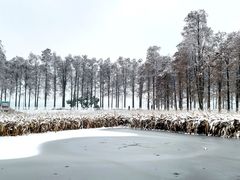 -东湖生态旅游风景区