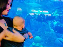 -成都浩海立方海洋公园