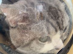 -宠颐生中康贝怡动物医院