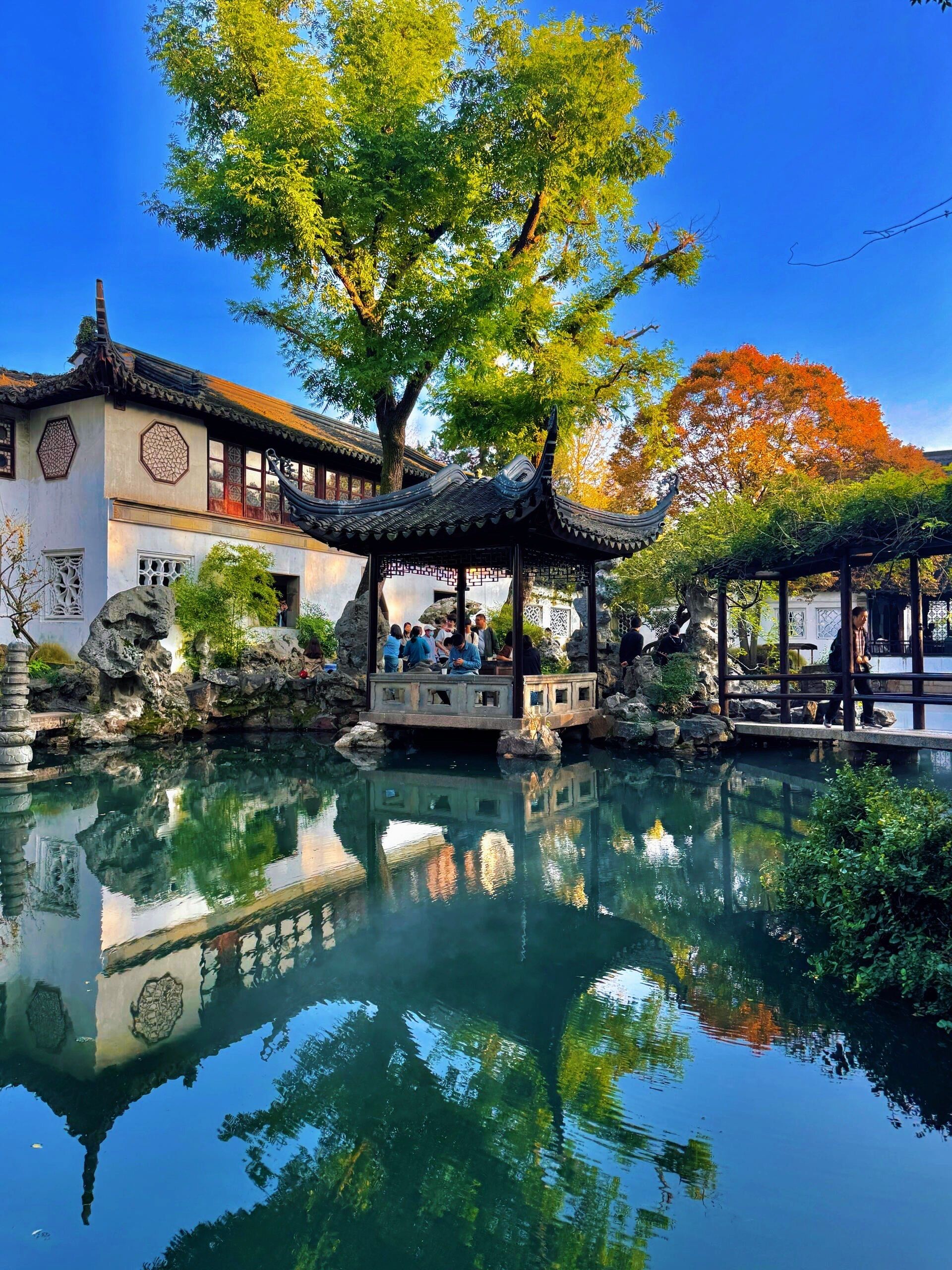 以为拙政园够美了,直到我来到了这里