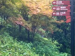 -白公馆