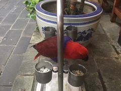 -丽江庭院之爱在路上(西单店)